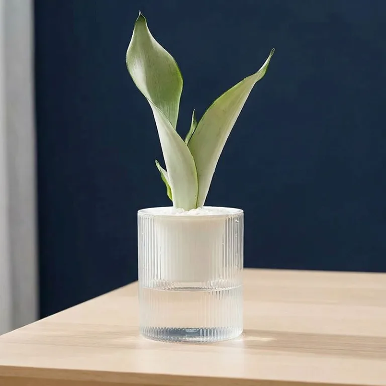 self watering flowerpot, flower pots with water reservoir, bottom watering flower pots